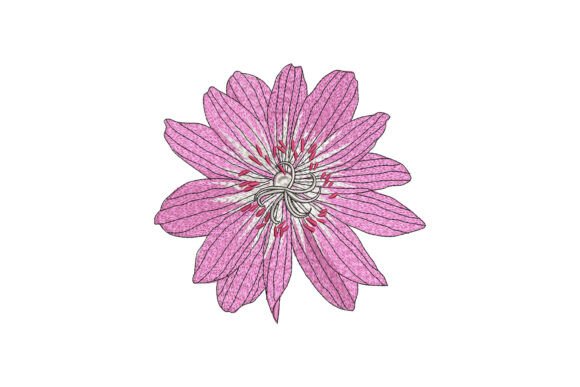 Reviewing Radiant Star Petals Embroidery for Brand Use
